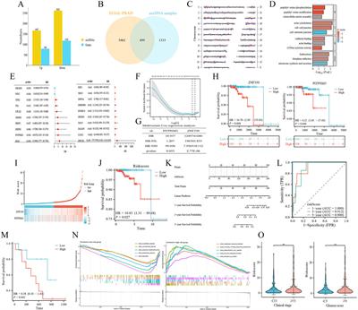 Extrachromosomal circular DNAs in prostate adenocarcinoma: global characterizations and a novel prediction model